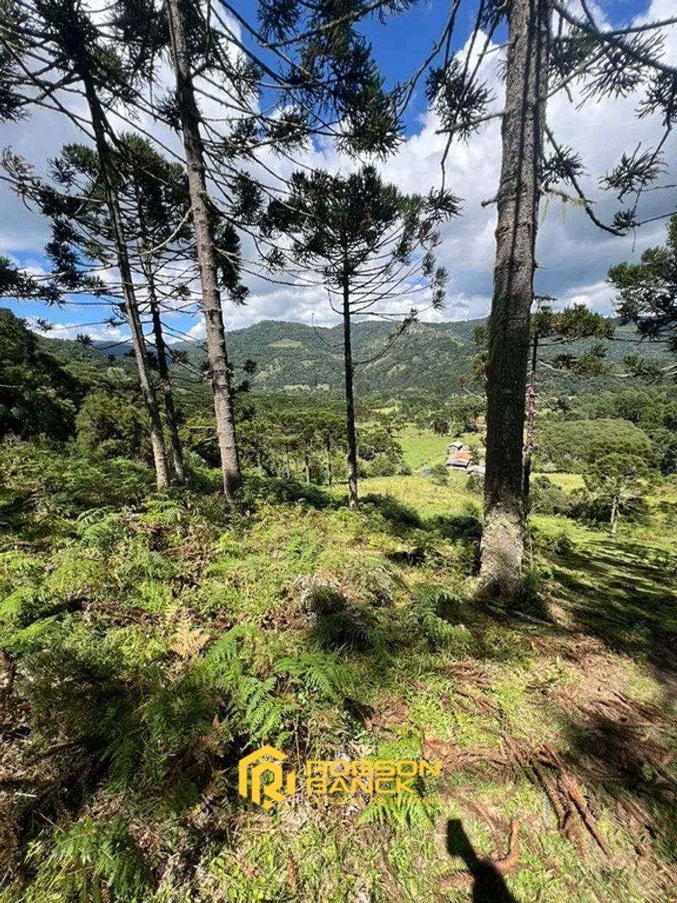 Refúgio Rural Próximo à Cidade - Foto 2