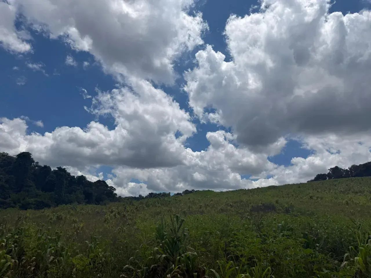 Terrenos para venda tem 1000 metros quadrados em Colégio - Ibiúna - SP - Foto 15