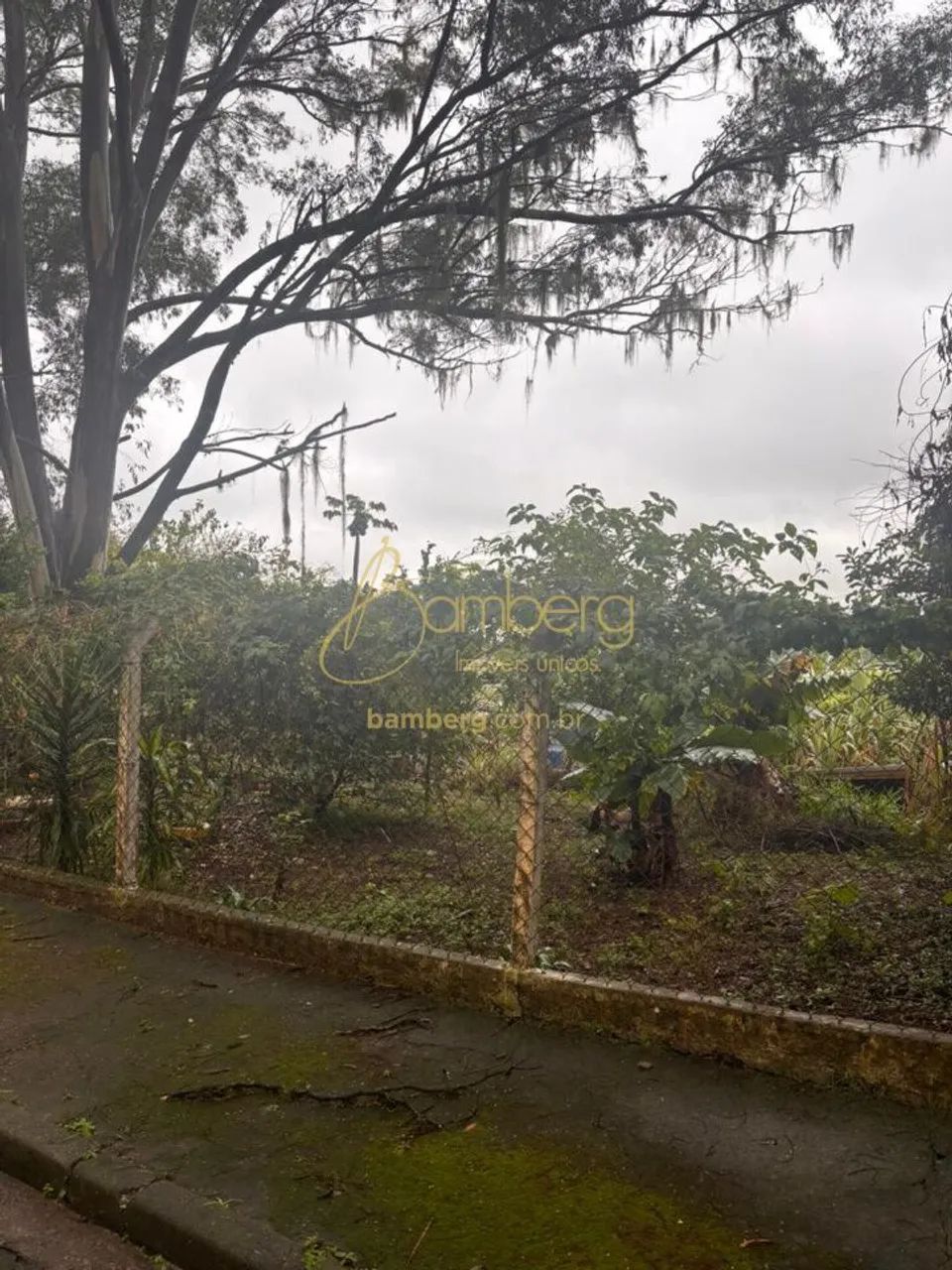 Terreno Em Condomínios Parque Castelo SP - Foto 2