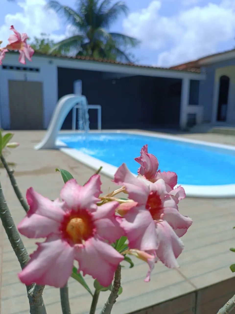 Casa temporada em Jacumã para carnaval até 17 pessoas  - Foto 2