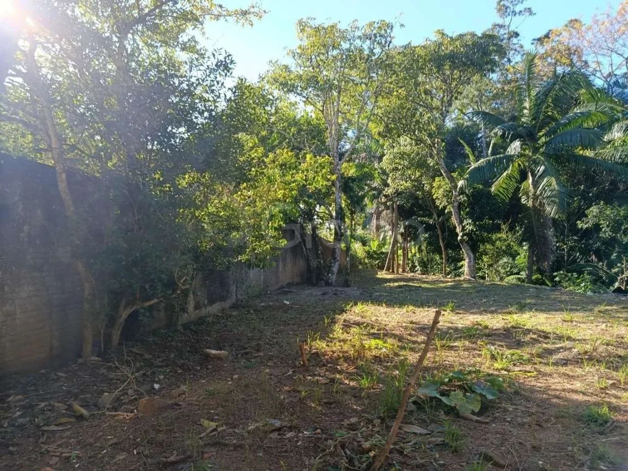 Terreno para Venda em Florianópolis, Pantanal - Foto 3