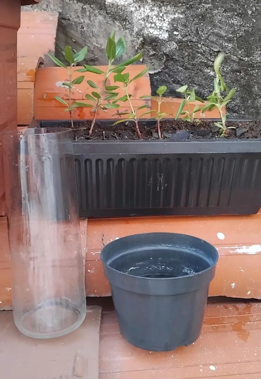 Vasos e jarros para planta
