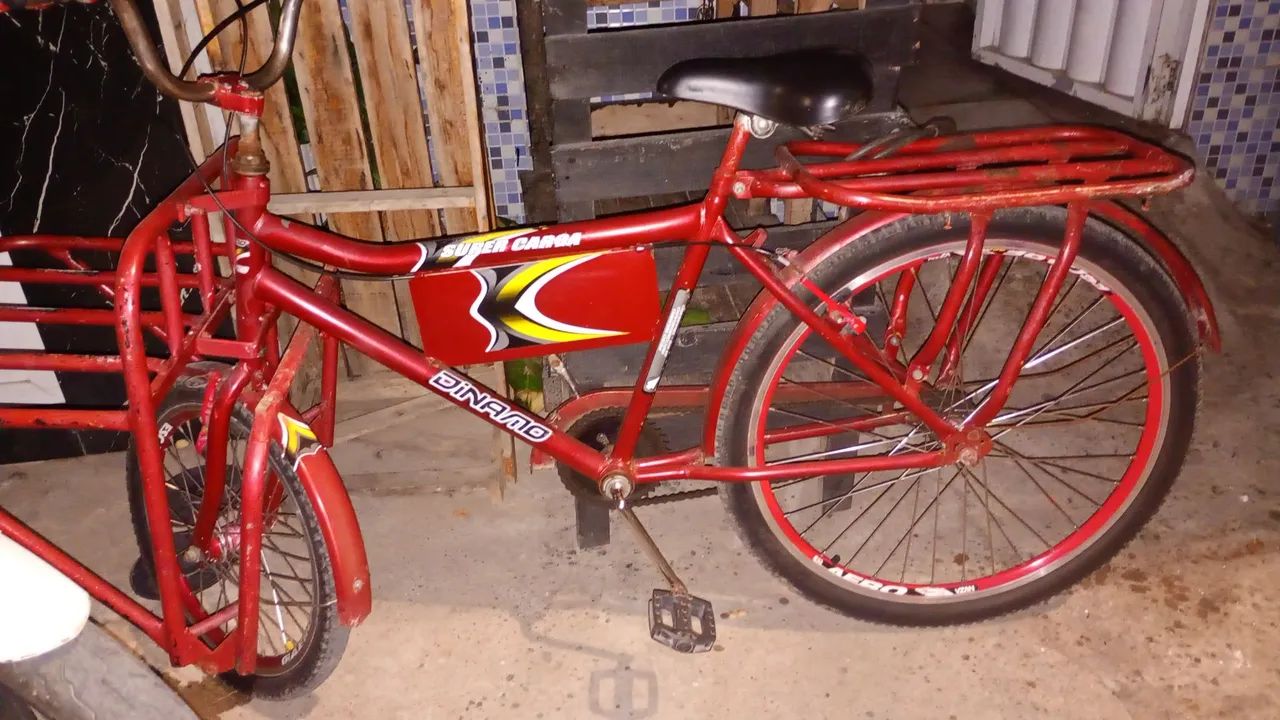 Bicicleta de carga 