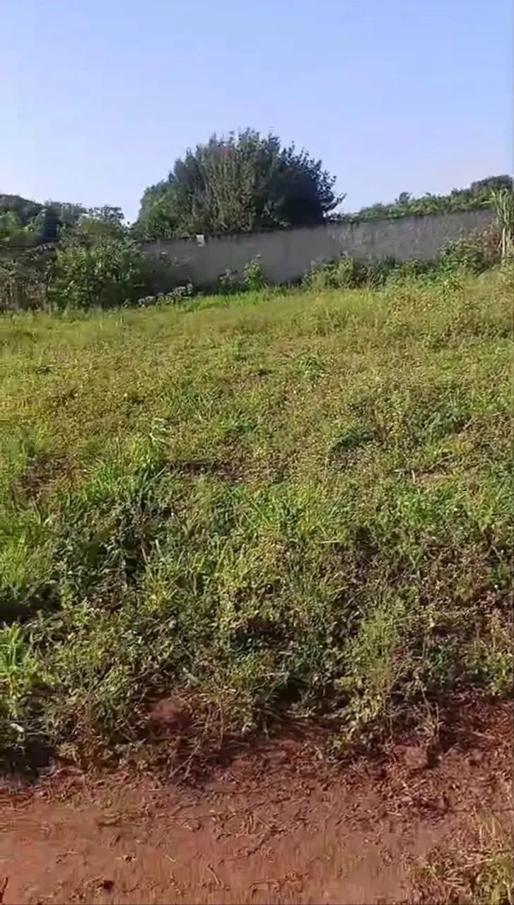 Terreno na Vila Aparecida  - Foto 5