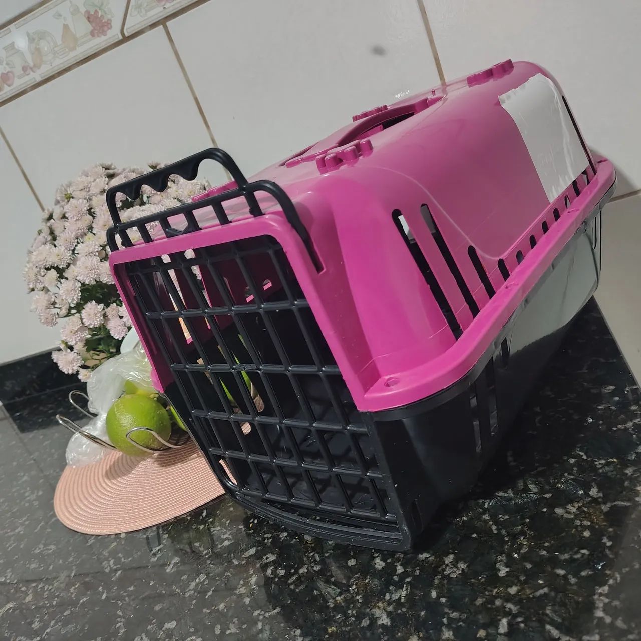Acessórios para pet