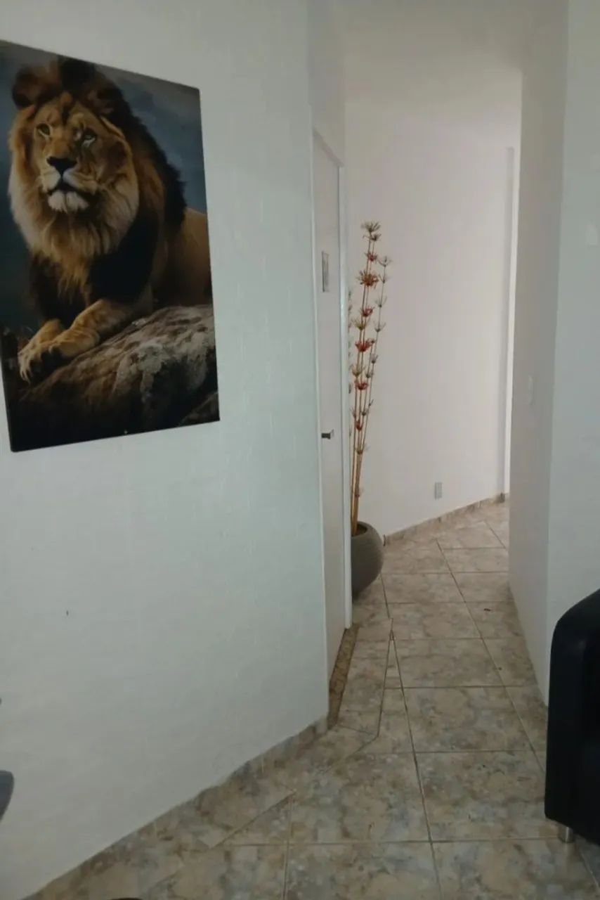 Loja linda - Foto 5