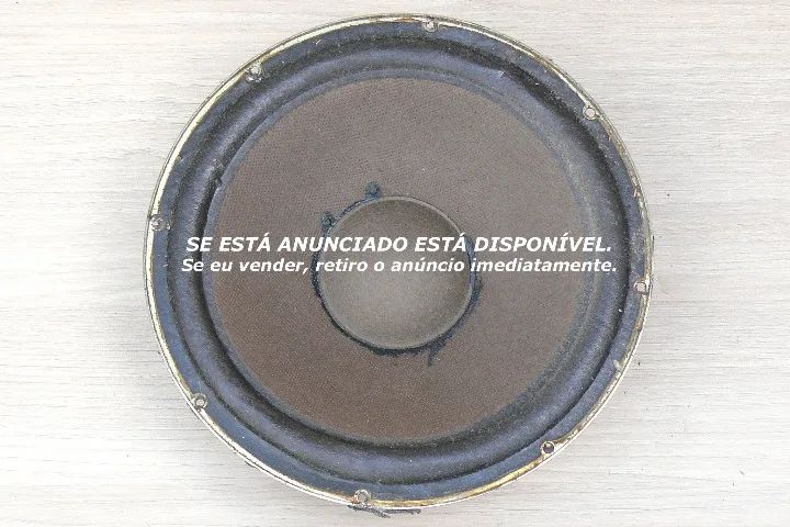 Woofer Gradiente 10 pol. - Foto 2