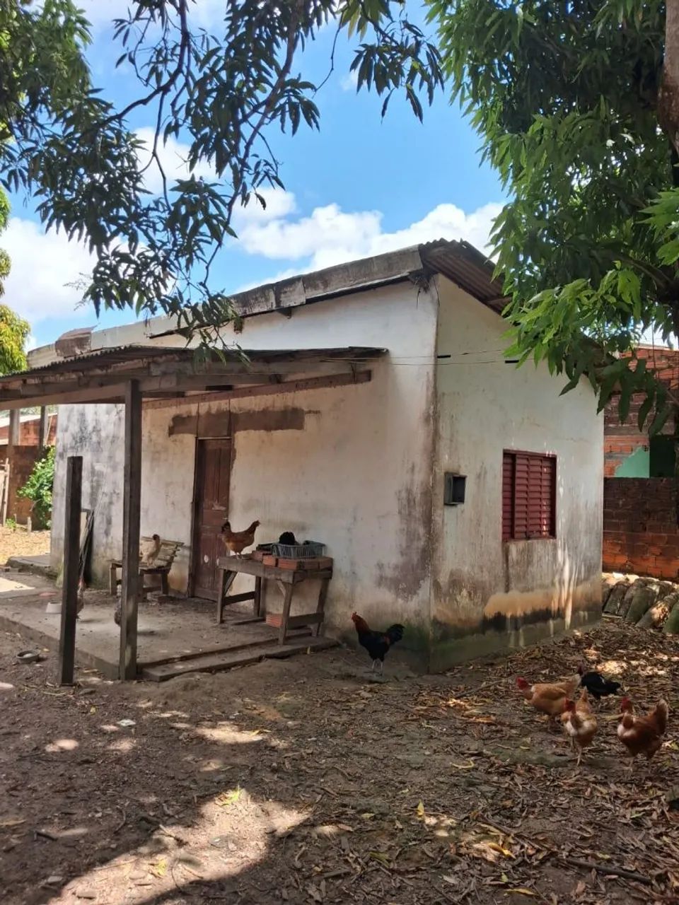 VENDO OU TROCO COM VOLTA, CASA TITULADA! - Foto 2