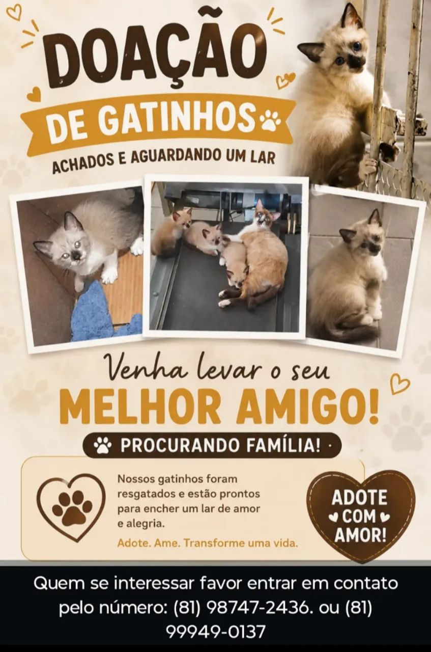 Doação Pet com amor