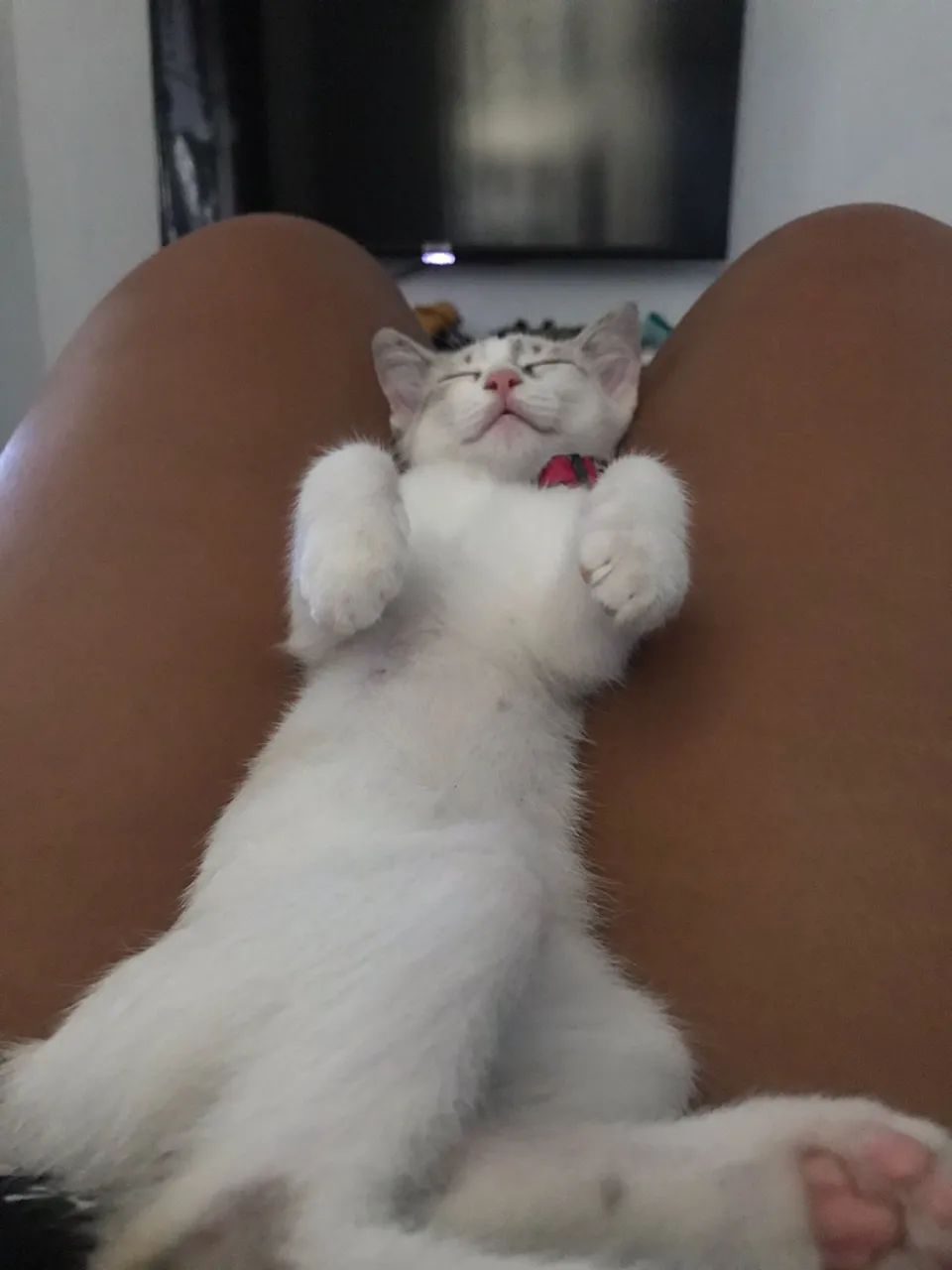 Doação  - Foto 2