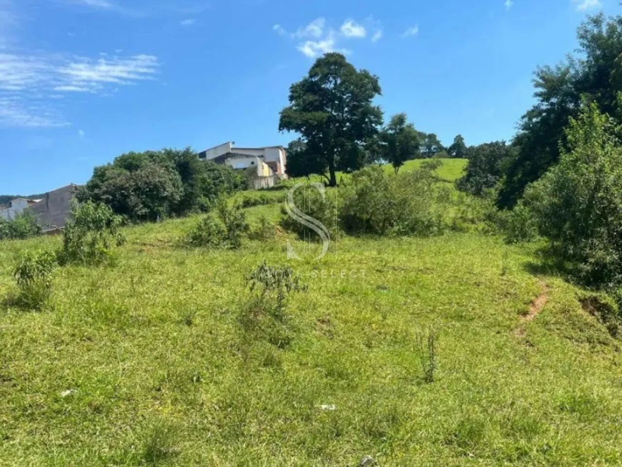 Terreno em Parque Edu Chaves - São Paulo - Foto 4