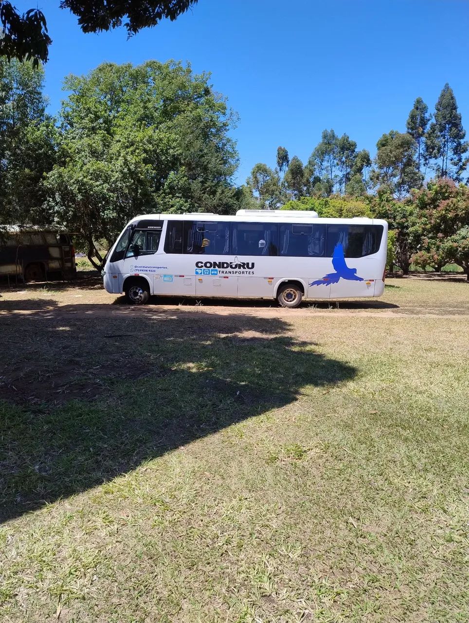 Excelente procedência  - Foto 3