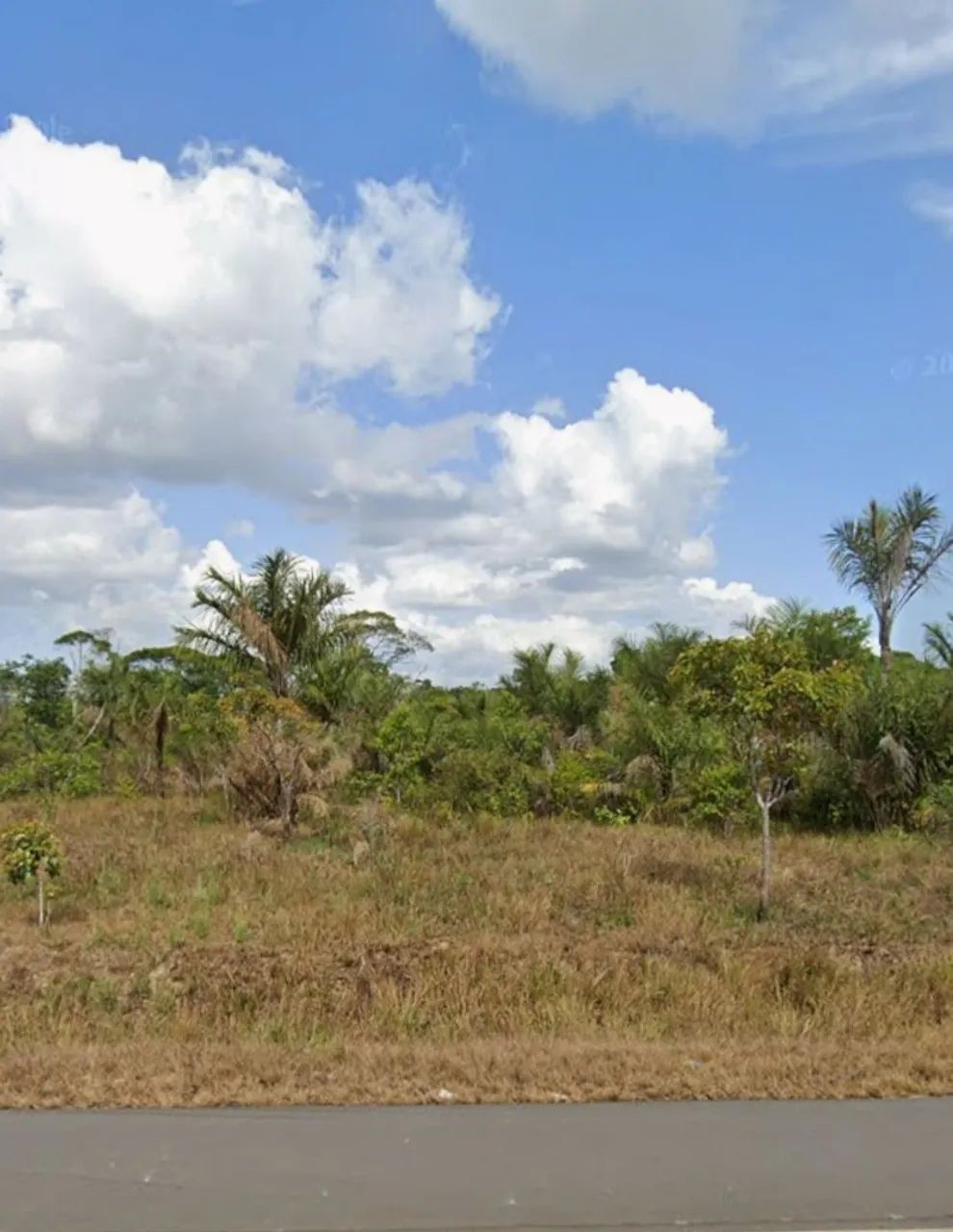 TERRENO RURAL AS MARGENS DA BR 156