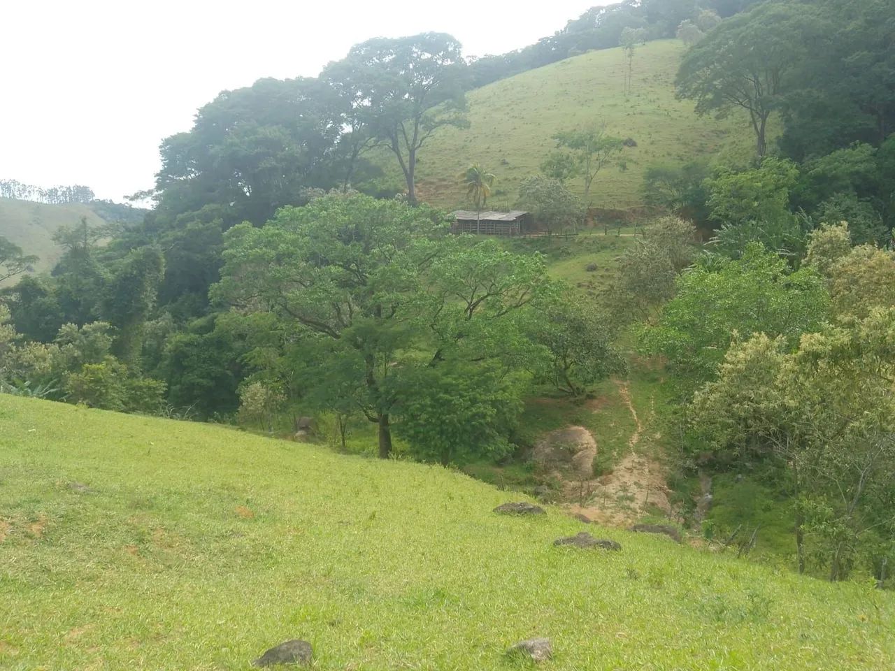 Propriedade 5 Alqueires Alfredo chaves  - Foto 3