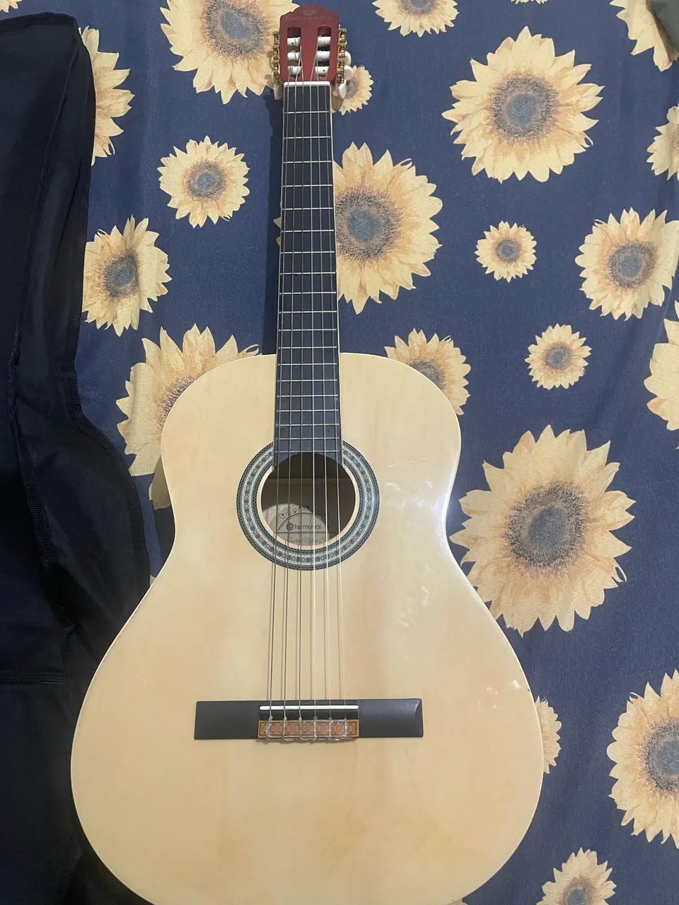 Violão Harmonics