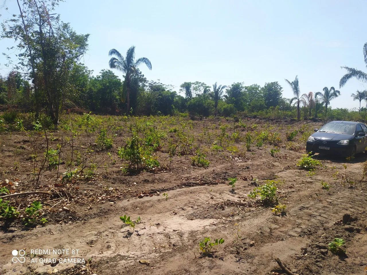 VENDO 5 LOTES SÍTIO NOVO TOCANTINS - Foto 5
