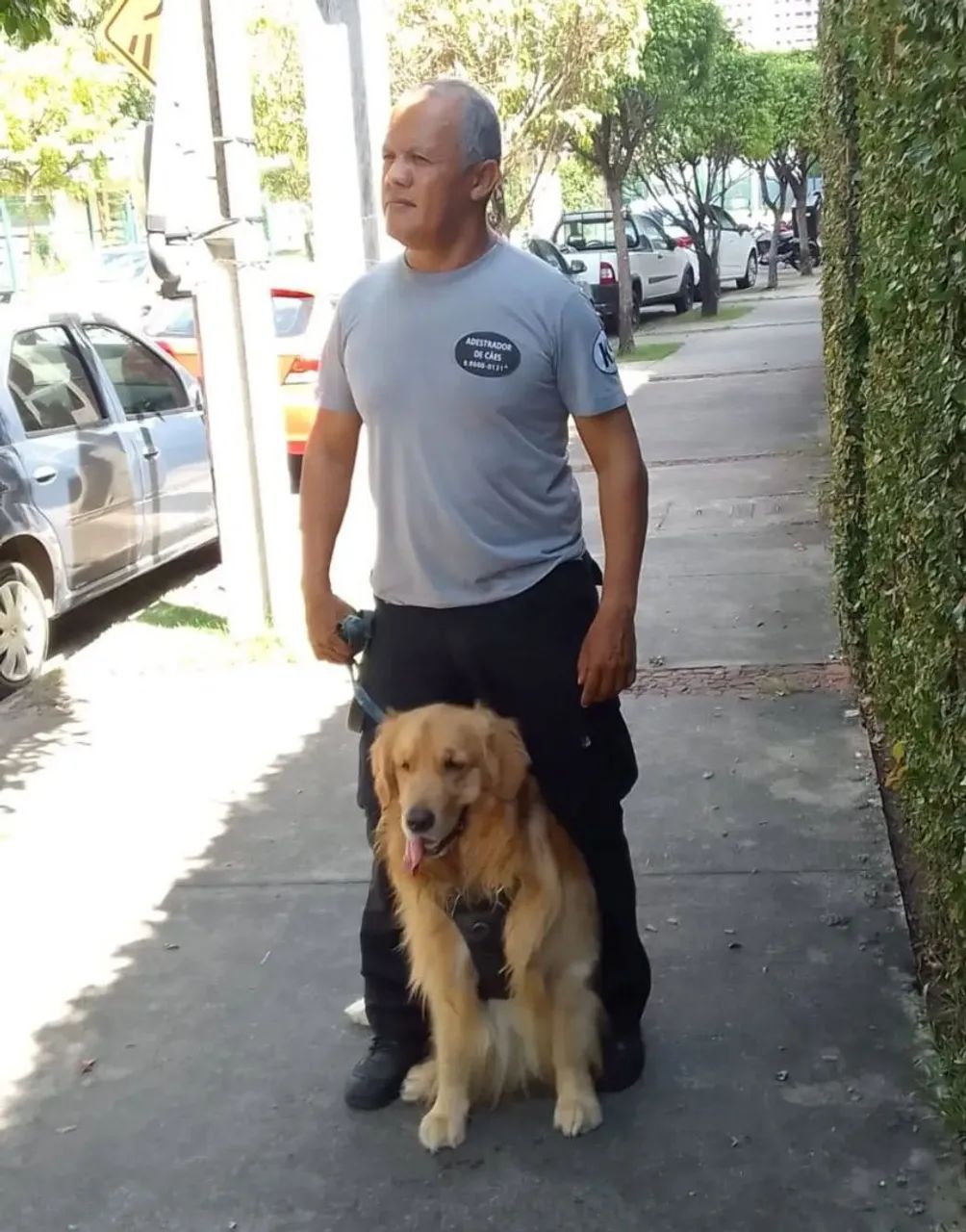 Adestrador de cães  - Foto 5