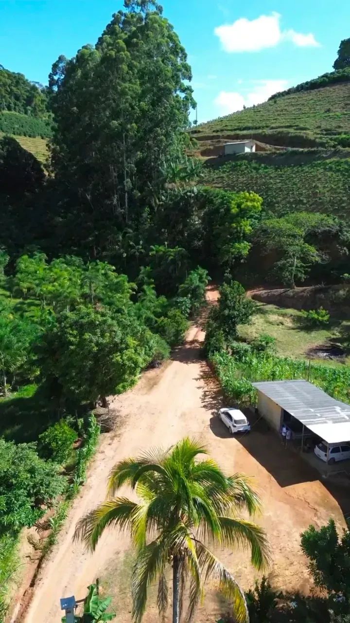 Venda de Sítio 9,20 hectares - Guaçuí  ES - Foto 3