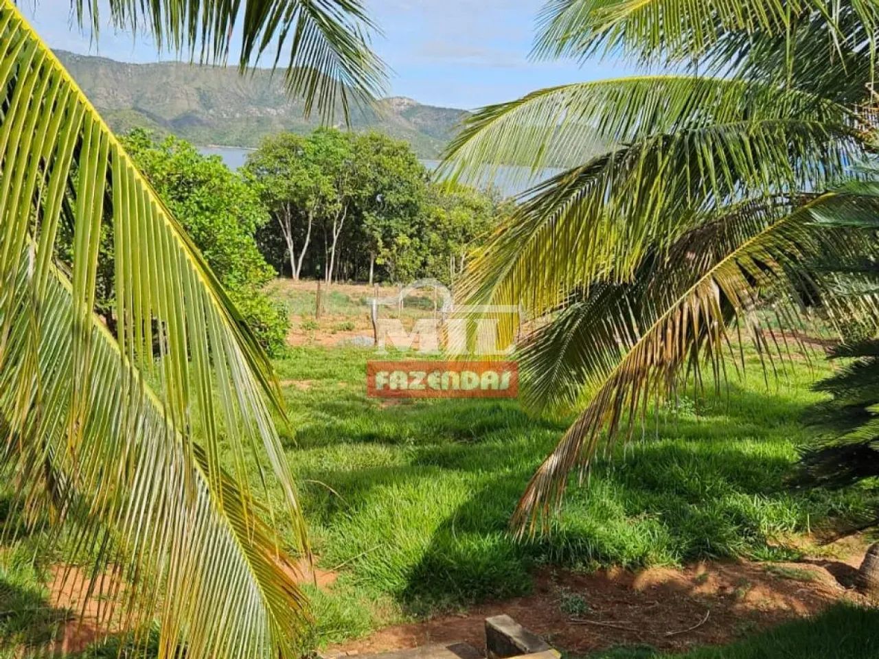 Chacara 4 hectares Niquelandia - GO - Foto 3