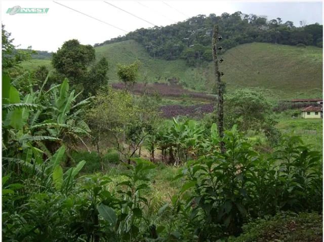 Terreno - Juiz de Fora MG - Foto 3