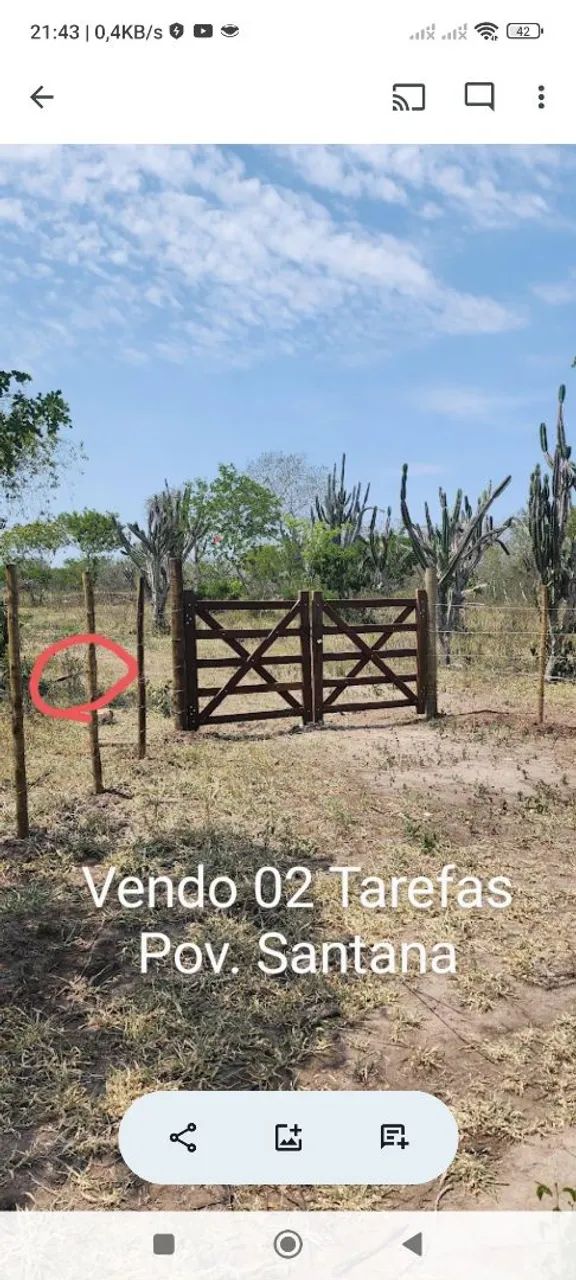 Vendo 02 tarefas de terra medindo 8.850m²
