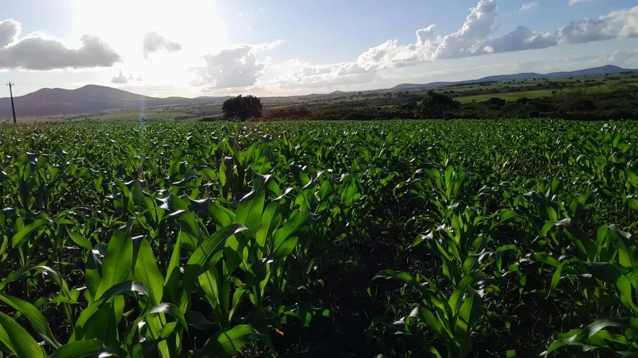 Foto - Campo do Brito - 