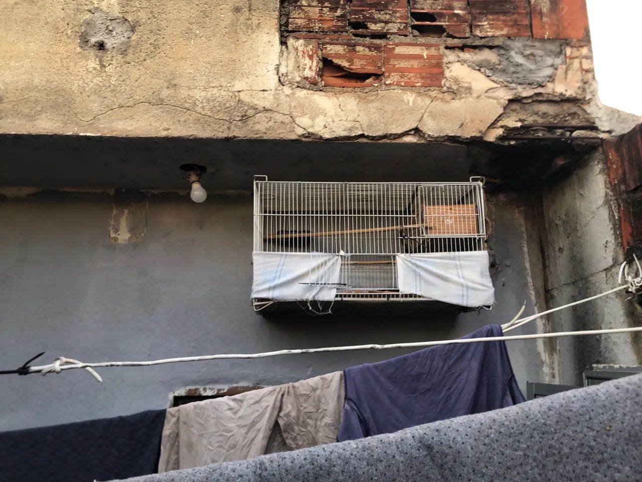 Gaiola - Foto 3