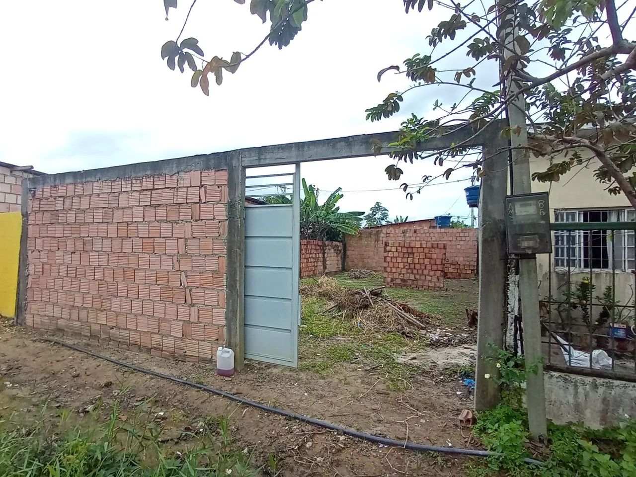 Foto - Manaus - Tancredo Neves