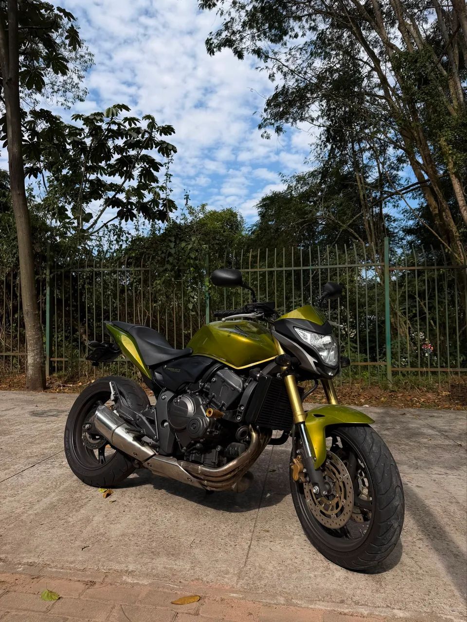 HORNET 2012  - Foto 2