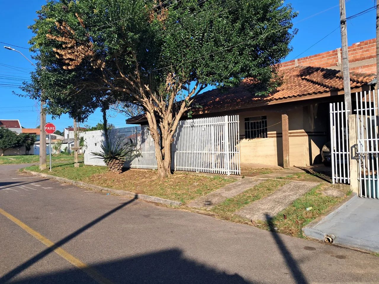 Foto - Curitiba - Campo de Santana