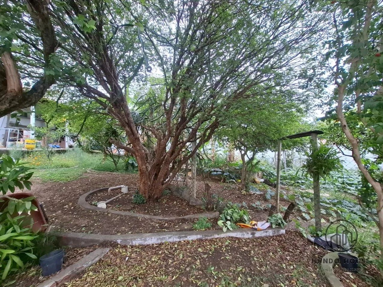 terreno na vila barão - Foto 4