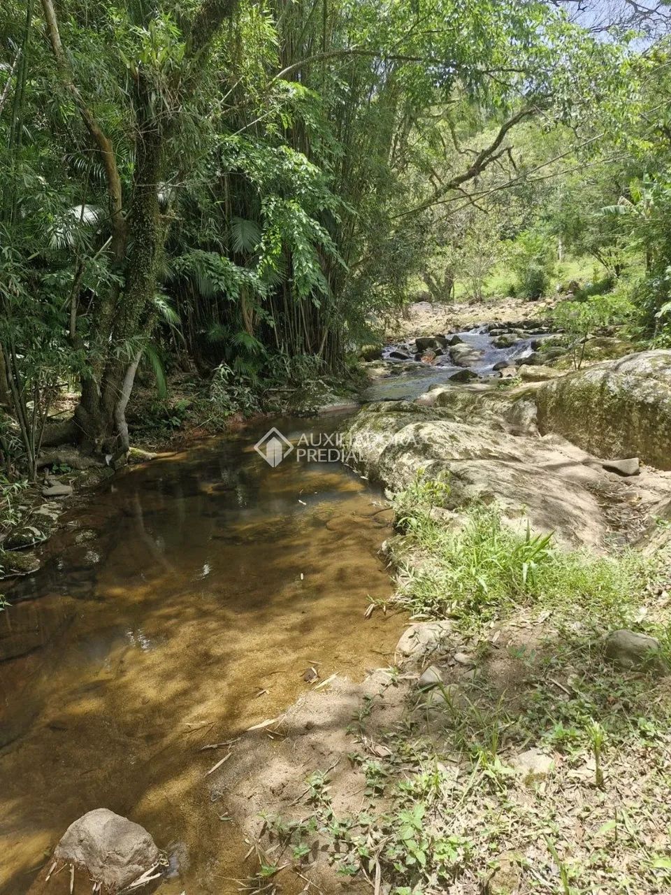 Chácara com duas casas a 5 min. de Lagoa de Imaruí - Refugio em meio a natureza - Foto 2