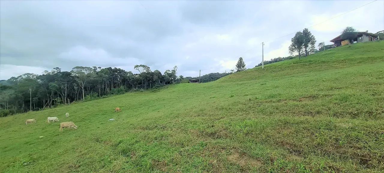 Sítio com 36.000 m² com belo rio - Alfredo Wagner - SC - Foto 2