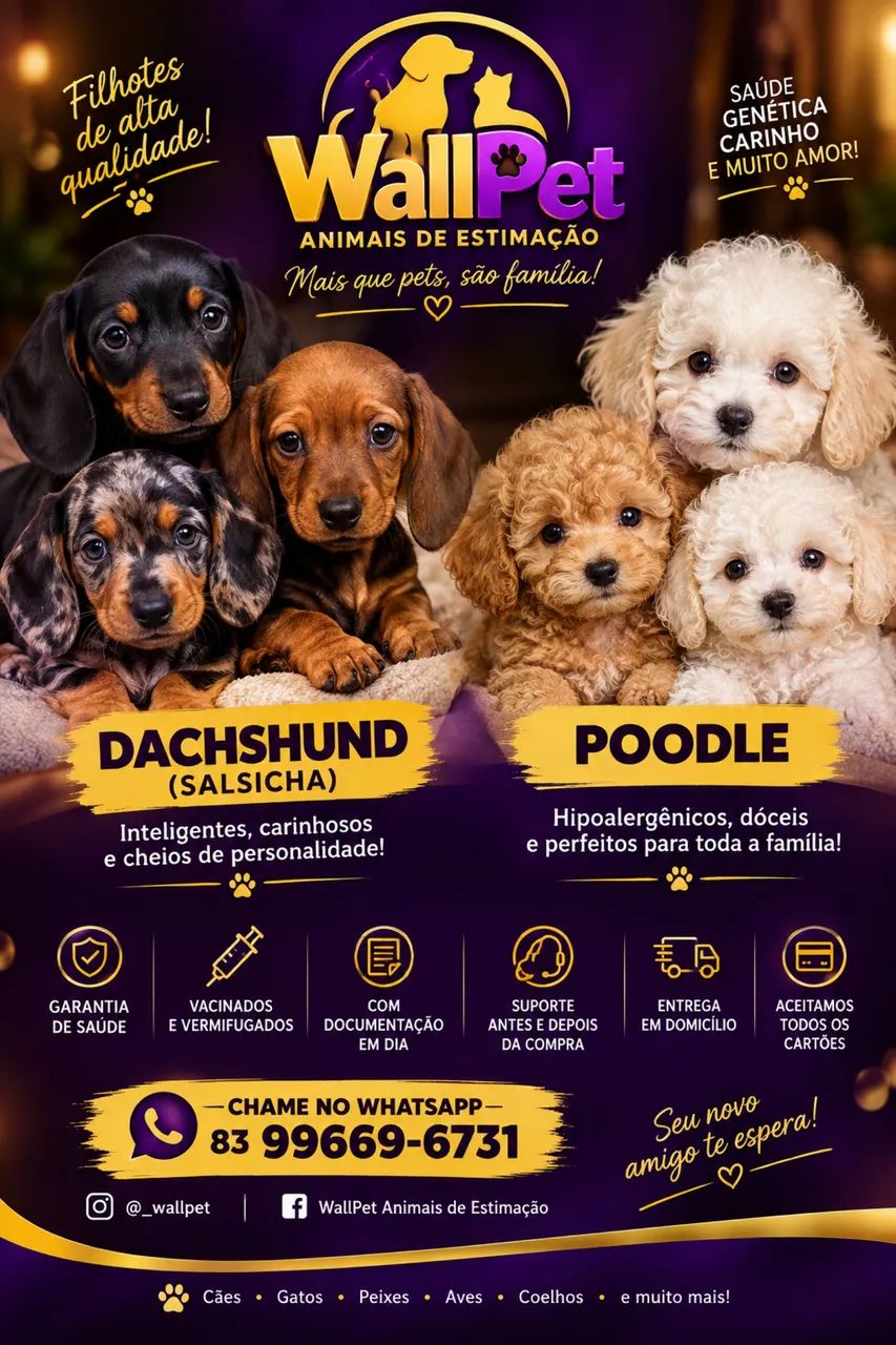 Salsichinha machos e fêmeas  - Foto 4