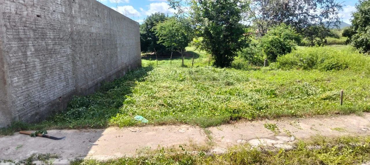 Lote na Paraiba