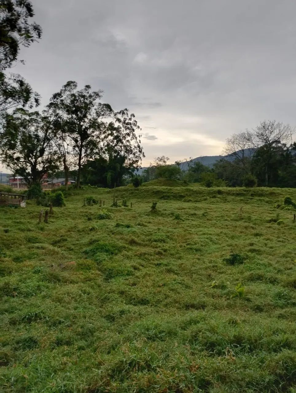 Excelente Oportunidade em Santo Amaro da Imperatriz  - Foto 2