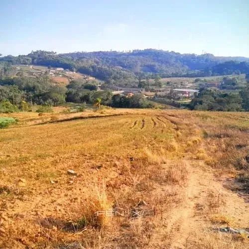 70  Descubra o Terreno Perfeito Para Sua Casa de Campo! - Foto 2