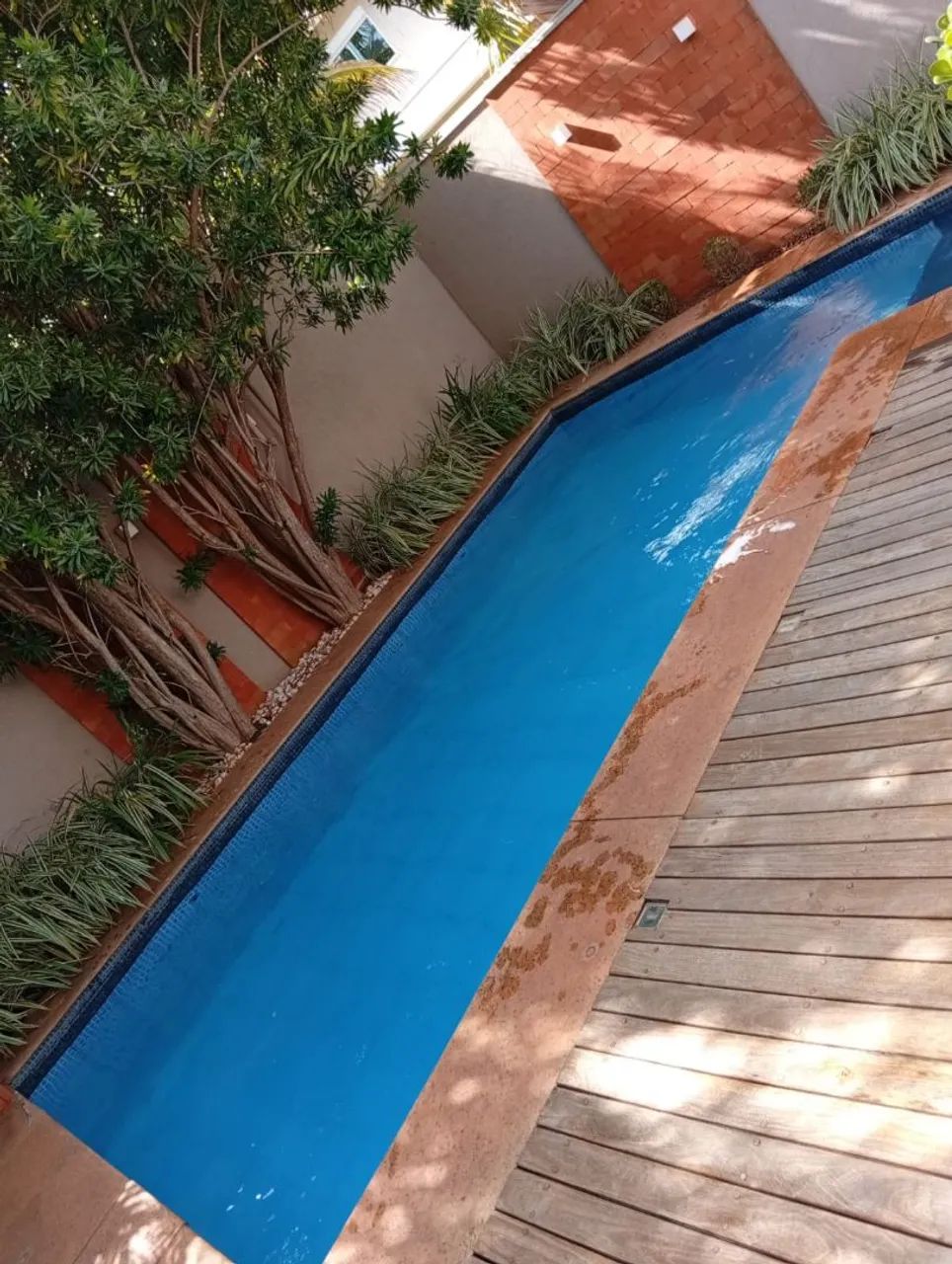 Limpeza e Tratamento de Piscinas <br> - Foto 3