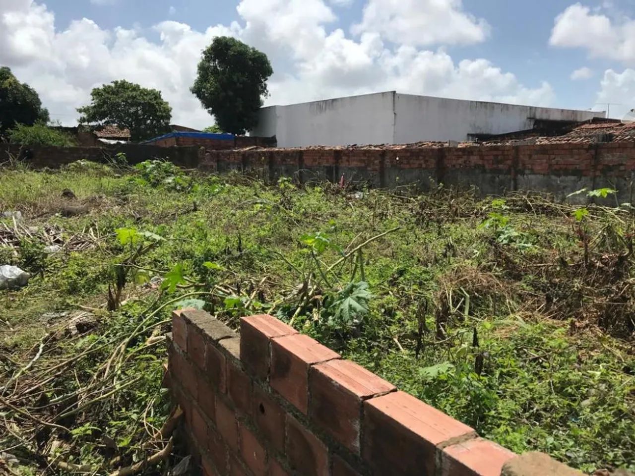 Terreno em rua pública, no Bairro América. (Vizinho a empresa Limpa fossa Moderna) - Foto 16