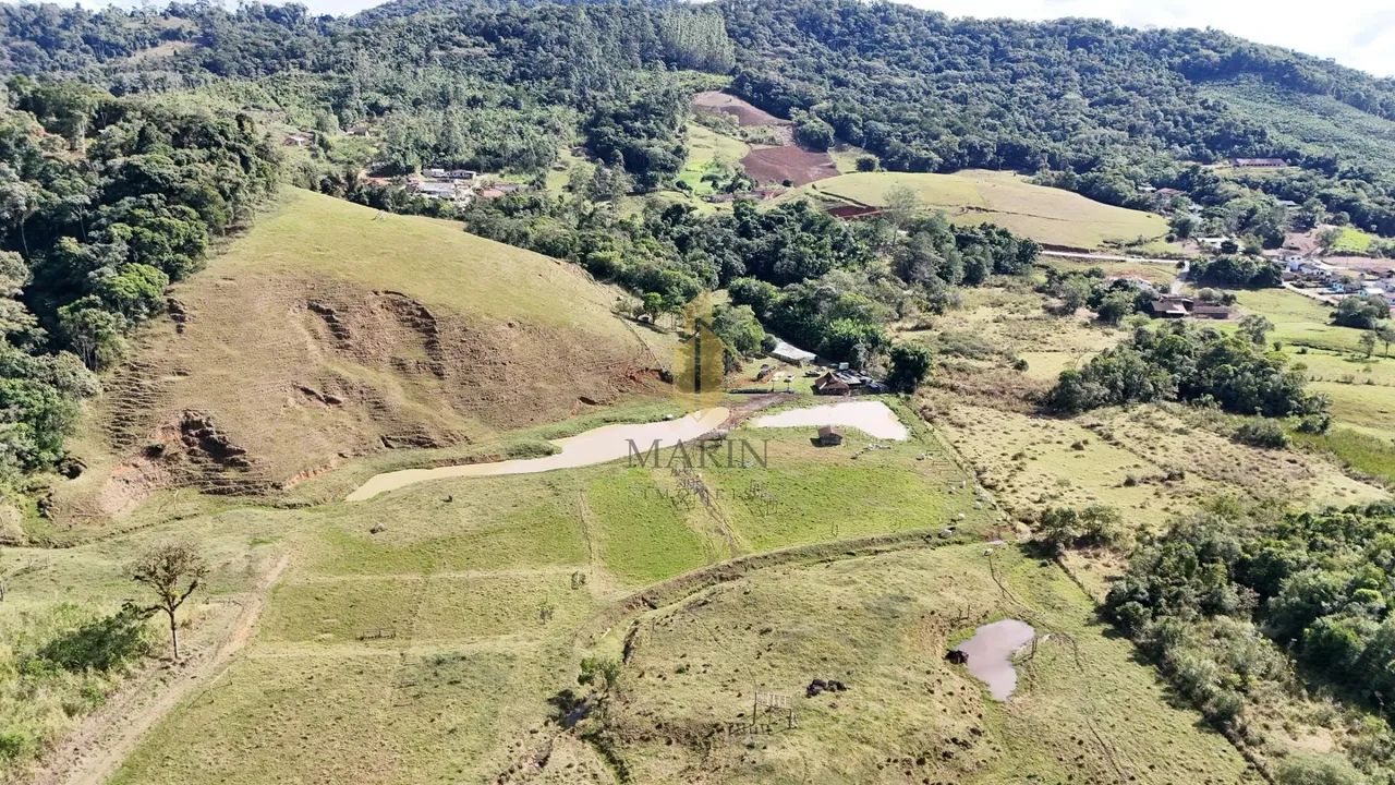 Grande área com pastagem em Massaranduba/SC