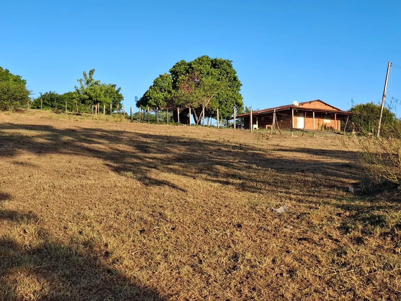 Sitio em palmeira dos indios - Foto 3