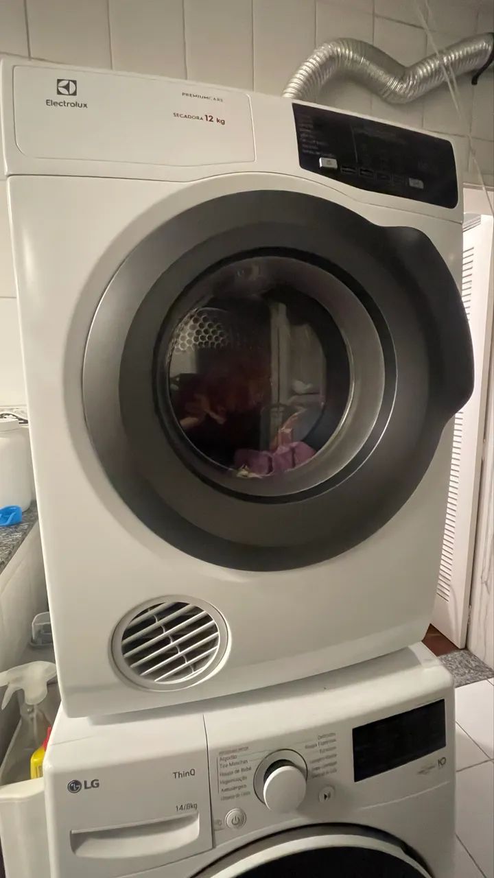 Secadora Eletrolux 220v