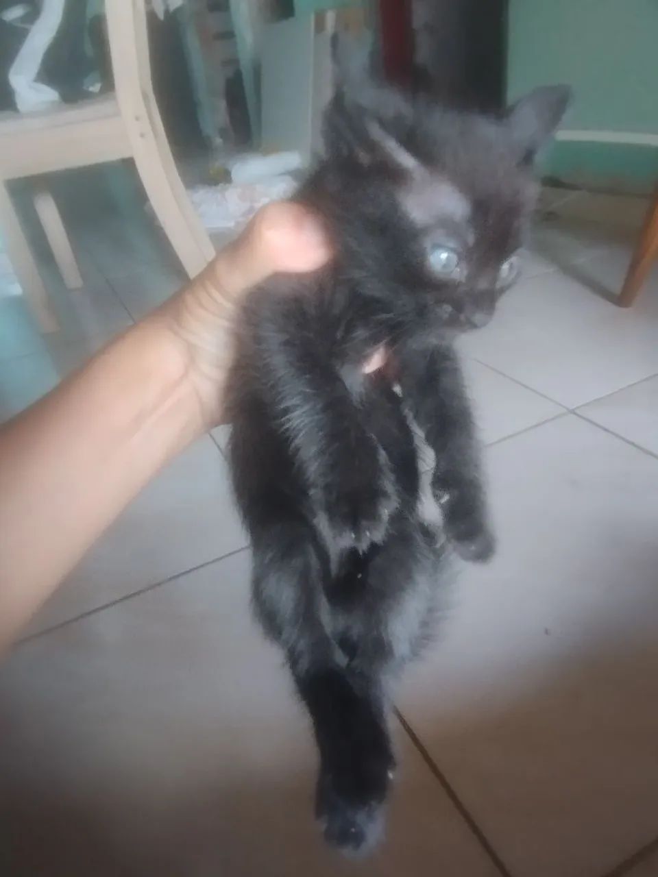 Com 2 meses 