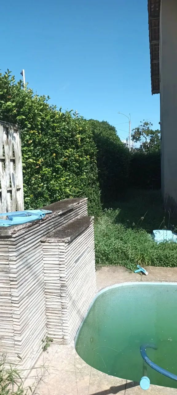 Ofereço meus serviços de jardim - Foto 4