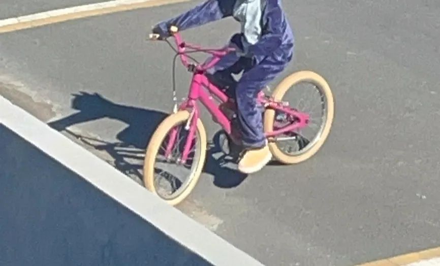 Bicicleta aro 20 menina - Foto 2