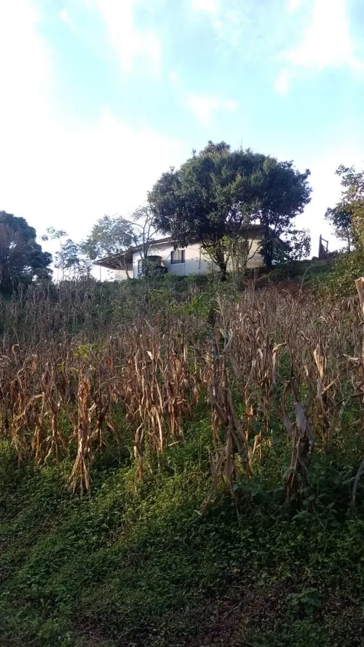 Chácara com 30.000 m em Pedralva MG - Foto 2