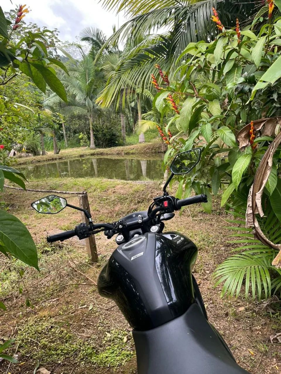 Vendo FZ15 ABS 