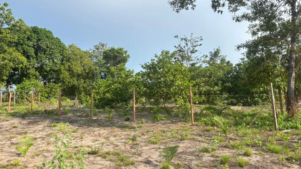 Terreno no Pindobal