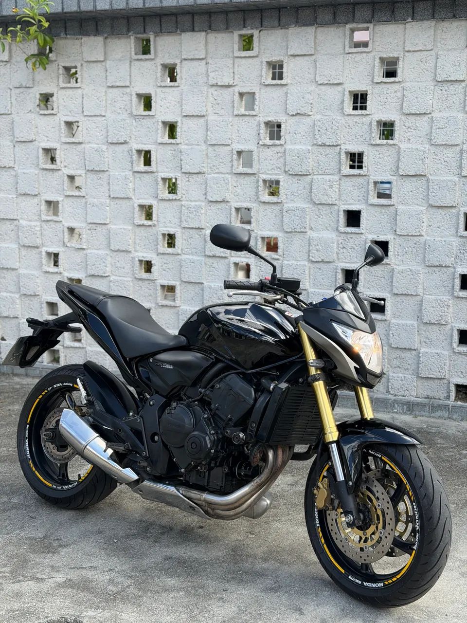 Hornet 