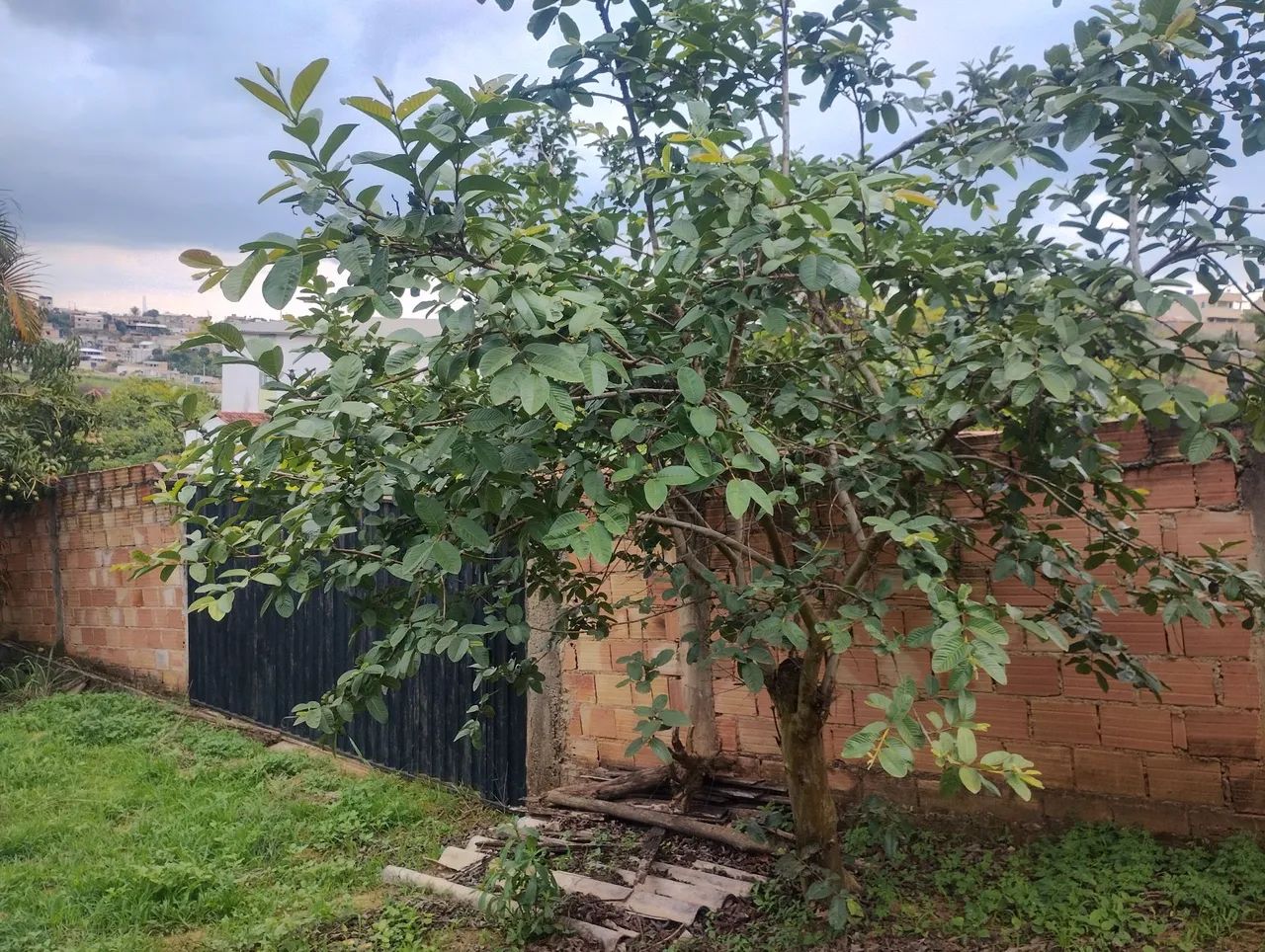 Foto - Contagem - Cidade Industrial